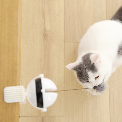 AutoLift Interactive Cat Ball: Electric Automatic Lifting Toy