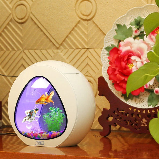 Desktop Fish Tank: Compact Aquarium for Home or Office