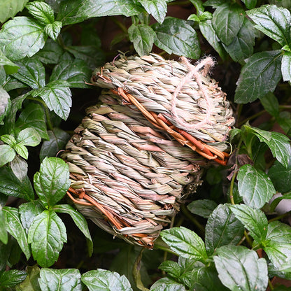 Hand-Woven Straw Bird Nest: Creative Handicraft Bird Cage