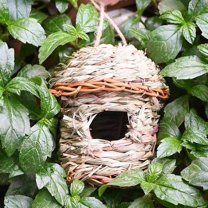 Hand-Woven Straw Bird Nest: Creative Handicraft Bird Cage