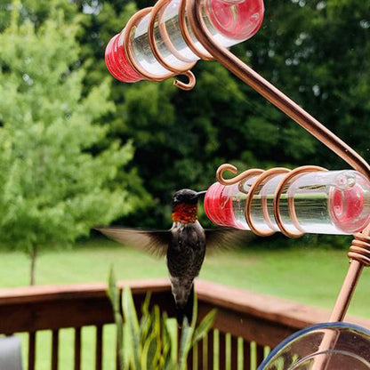 Suction Cup Hummingbird Feeder: Easy-to-Clean Garden Bird Feeder