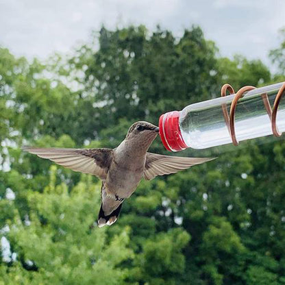 Suction Cup Hummingbird Feeder: Easy-to-Clean Garden Bird Feeder