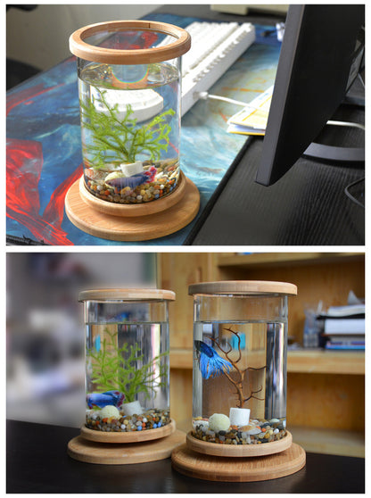 Mini Glass Fish Tank: Small Office Aquarium with Bamboo Base