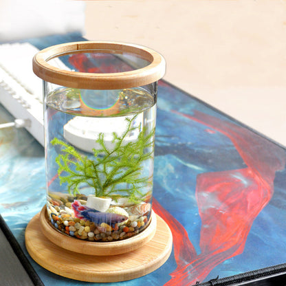 Mini Glass Fish Tank: Small Office Aquarium with Bamboo Base