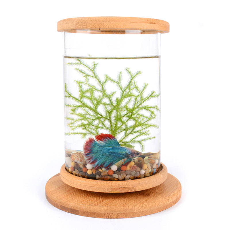 Mini Glass Fish Tank: Small Office Aquarium with Bamboo Base