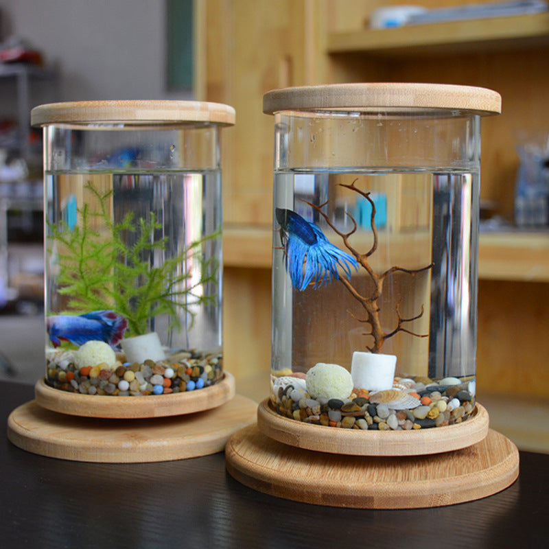 Mini Glass Fish Tank: Small Office Aquarium with Bamboo Base