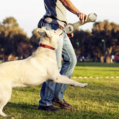 Interactive Cotton Rope Dog Toys: Chew Ball and Tug Toy for Small & Large Dogs