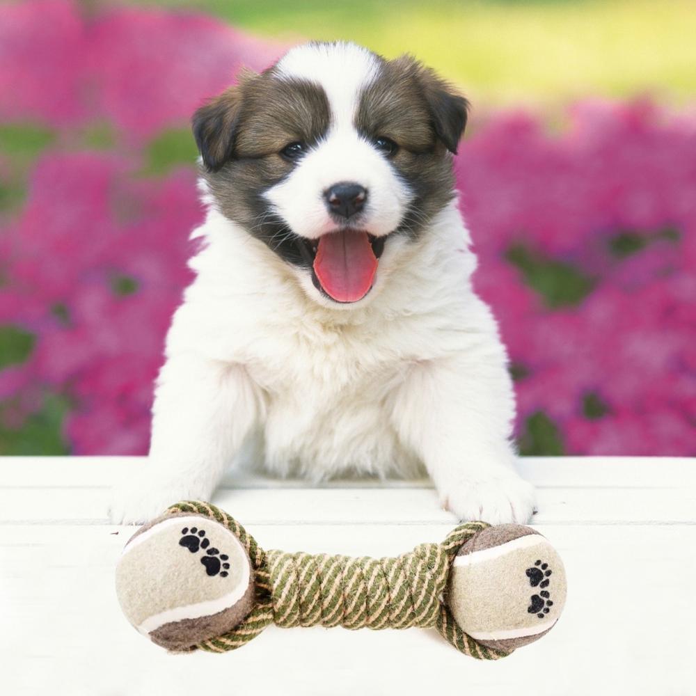 Interactive Cotton Rope Dog Toys: Chew Ball and Tug Toy for Small & Large Dogs