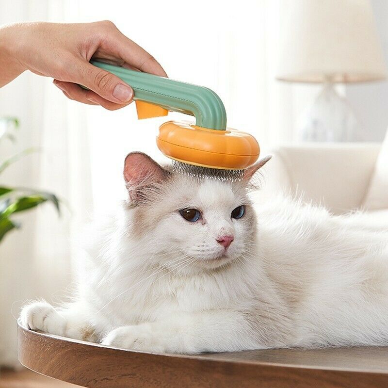 Pet Pumpkin Brush: Self-Cleaning Grooming Brush for Dogs & Cats