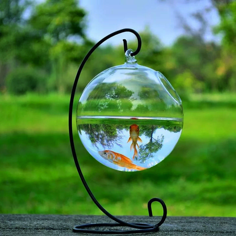 Hanging Glass Vase Fish Tank: Decorative Wall-Mounted Aquarium