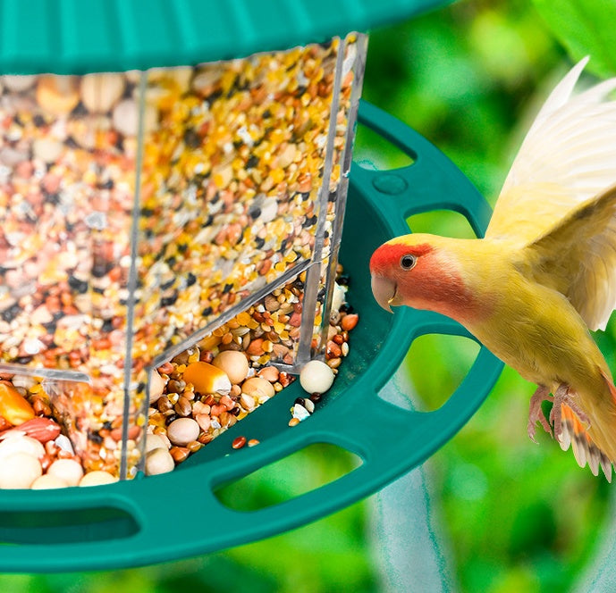 Transparent Hanging Bird Feeder: Outdoor Garden Decoration