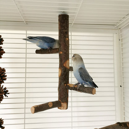 Wooden Parrot Stand Pole Toy: Interactive Bird Perch