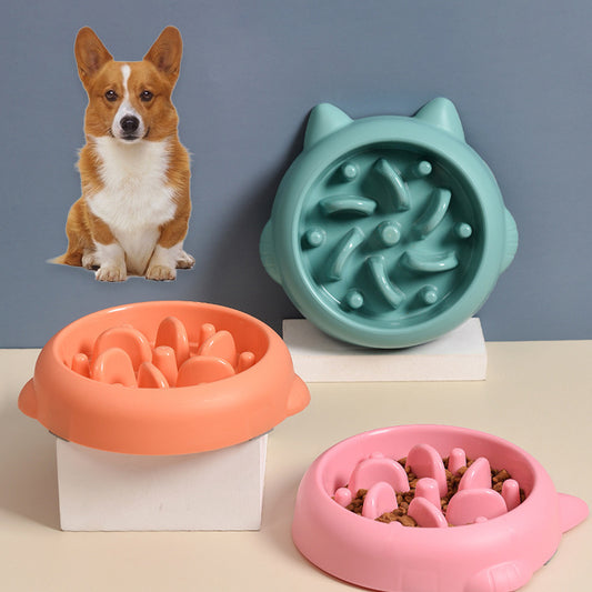 Anti-Choking Slow Feeder Bowl: Anti-Gulping Dish for Dogs & Cats