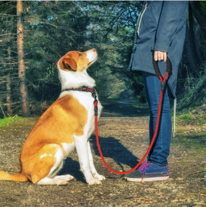 Reflective Nylon Dog Leash: Walking & Training Rope for Small, Medium & Large Dogs