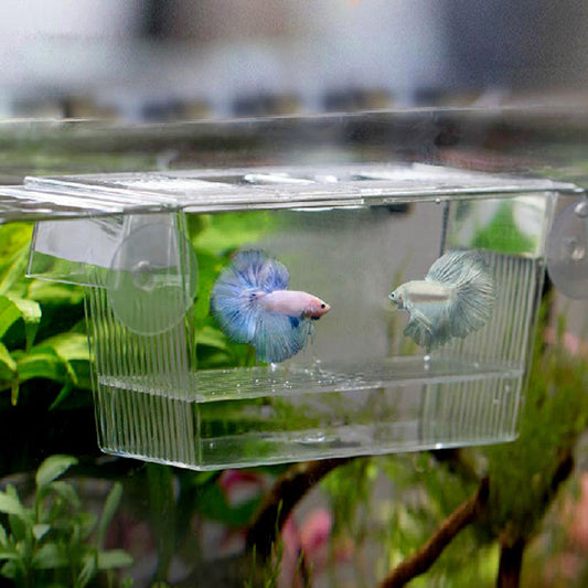 Acrylic Fish Tank Incubation Box: Aquarium Breeding and Isolation Chamber