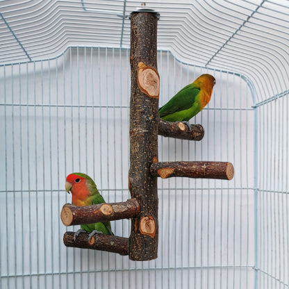 Wooden Parrot Stand Pole Toy: Interactive Bird Perch