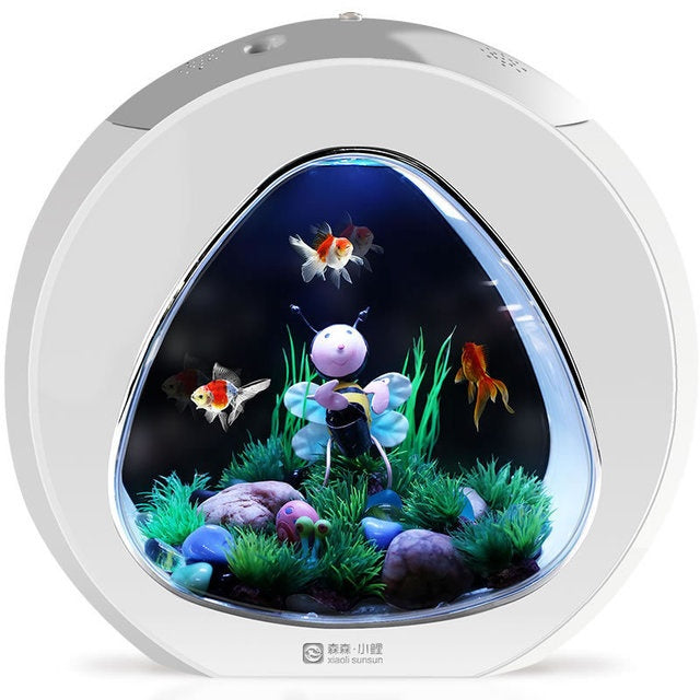 Desktop Fish Tank: Compact Aquarium for Home or Office