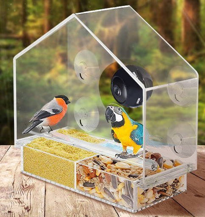 Smart Bird Feeder with Camera: Live Bird Feeder Cam for Real-Time Viewing