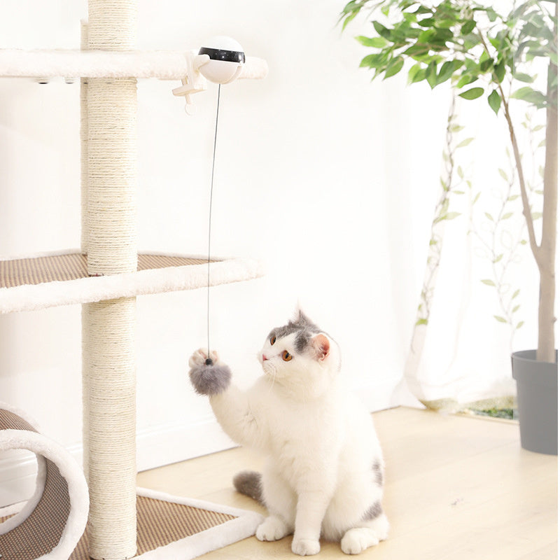 AutoLift Interactive Cat Ball: Electric Automatic Lifting Toy