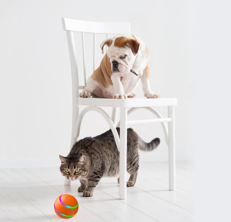 SmartyBall Cat and Dog Toy: USB Charging, Self-Rotating Intelligent Ball