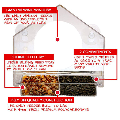 Smart Bird Feeder with Camera: Live Bird Feeder Cam for Real-Time Viewing