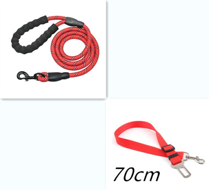 Reflective Nylon Dog Leash: Walking & Training Rope for Small, Medium & Large Dogs