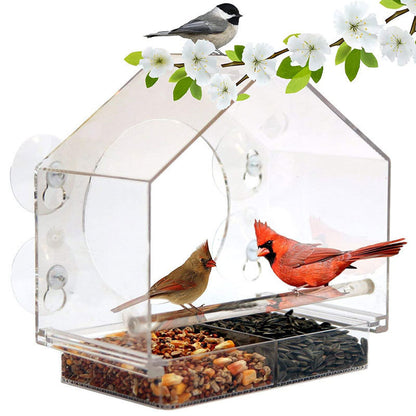 Smart Bird Feeder with Camera: Live Bird Feeder Cam for Real-Time Viewing