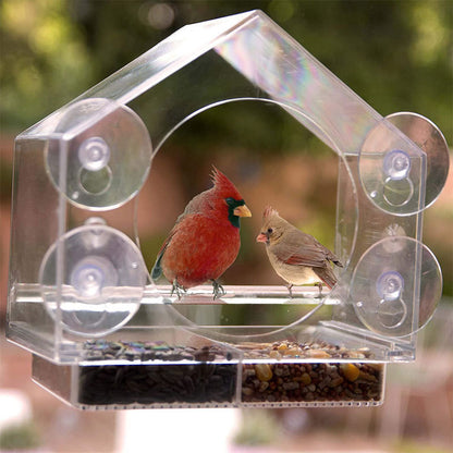 Smart Bird Feeder with Camera: Live Bird Feeder Cam for Real-Time Viewing