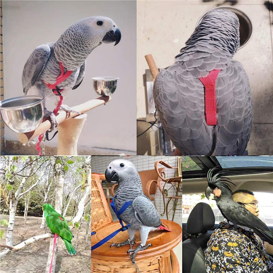 Parrot Flying Harness with Rope: Safe Outdoor Flight Gear