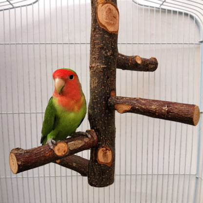 Wooden Parrot Stand Pole Toy: Interactive Bird Perch