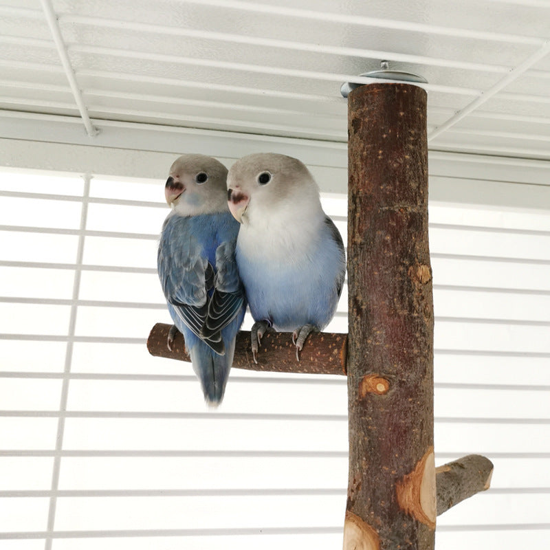 Wooden Parrot Stand Pole Toy: Interactive Bird Perch