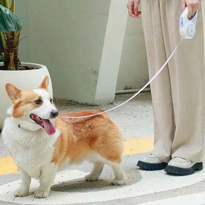 LED Retractable Dog Leash with Collar: Automatic Lock & Unlock for Small and Medium Pets